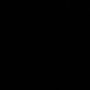 Meet your Posher, Jake